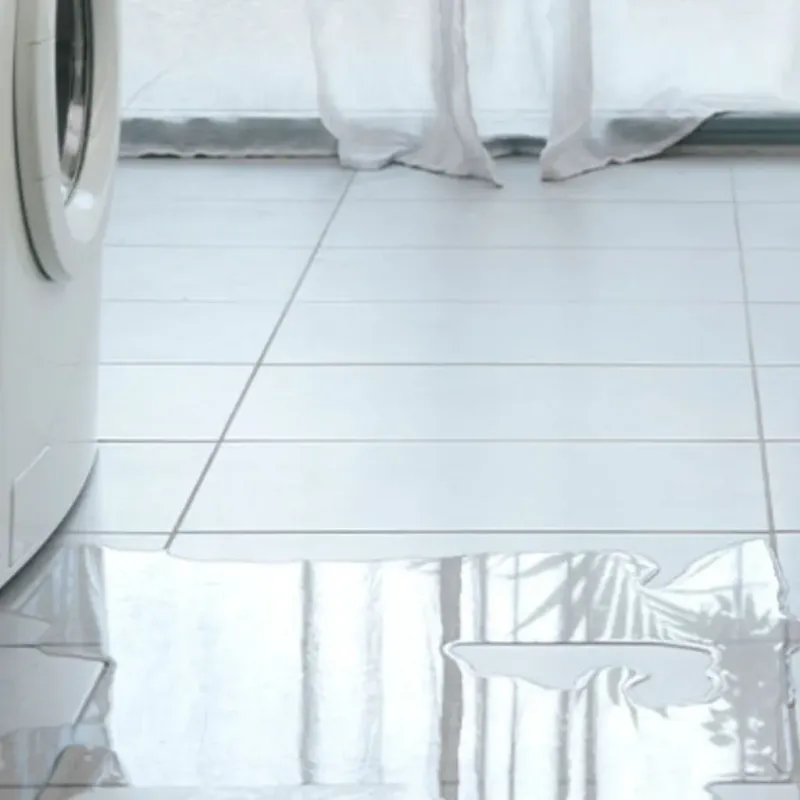Appliance Leak Cleanup in Forest Lake, IL