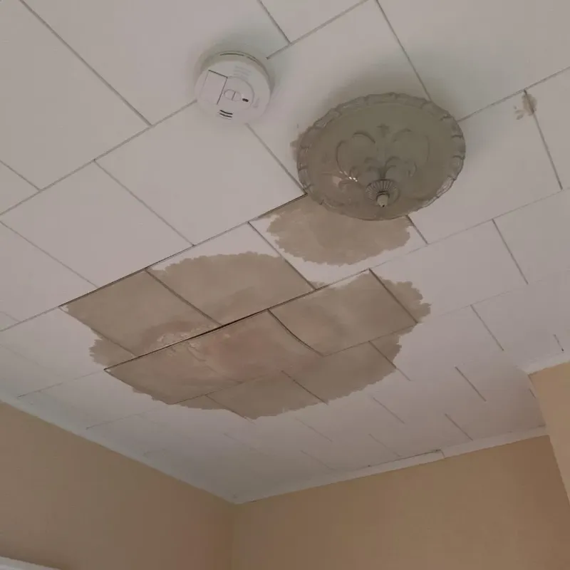 Ceiling Water Damage Repair in Forest Lake, IL