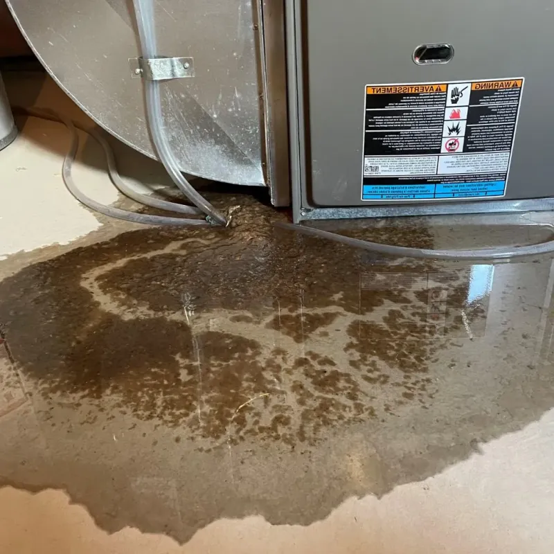 Pipe Burst and Leak Restoration in Forest Lake, IL