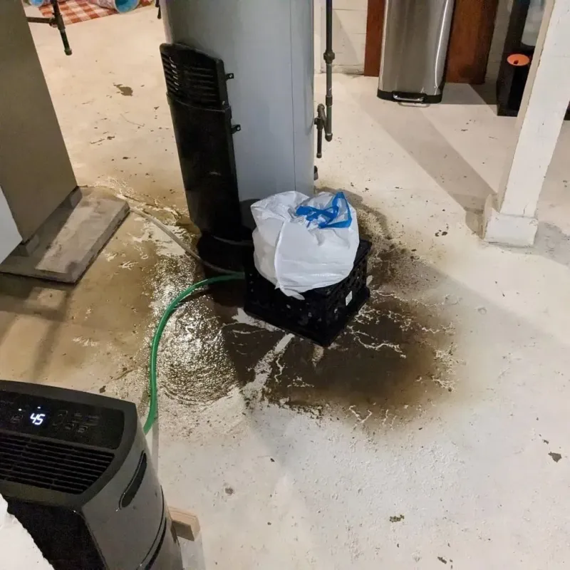 Sewage Backup Cleanup Service in Forest Lake, IL